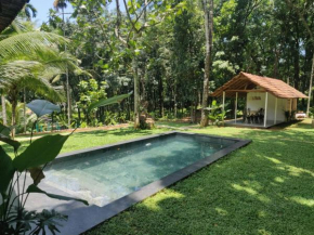 Pool Villa - The Humming Trees, Pala